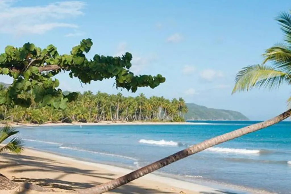 Private Villa 4 Bedroom At Playa Bonita, Las Terrenas Apartment
