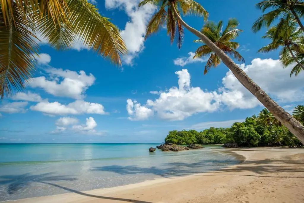Private Villa 4 Bedroom At Playa Bonita, Las Terrenas Apartment